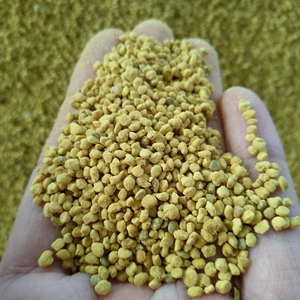 Süper besleyici arı poleni tozu yüksek protein - Product Image 1