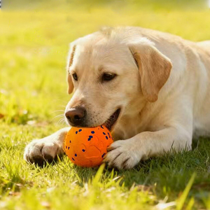 Juguete interactivo inteligente para gatos y perros, con evitación automática de obstáculos, material TPU, para ejercicio de mascotas en interiores, juguete masticable. - Product Image 3