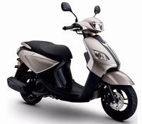 Scooter à essence 110CC, 4 temps, refroidissement par air, CVT, frein à disque et à tambour, 80 km/h, démarrage électrique, STAHO FH110T-JG, cyclomoteur pour adultes