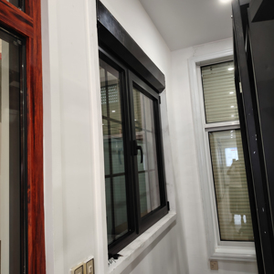Toma-Các loại khác nhau của cửa sổ nhôm với con lăn màn trập monoblock sản phẩm xử lý bề mặt sơn tĩnh điện - Product Image 2