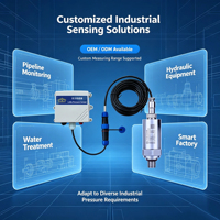 Capteur de pression LoRaWAN 0-2,5 MPa ±0,5% FS, haute précision, transmetteur sans fil longue portée pour l'automatisation industrielle M2M