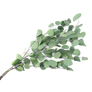 Conservato fiore eterno foglia di mela foglia di eucalipto Bouquet decorazione per la casa per eterno tocco naturale di lunga durata 3-5 anni - Product Image 3