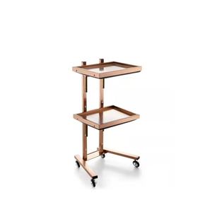 Modern Golden Hair Salon Stainless Steel Beauty Stool Cart <b>Trolley</b> for Sale - Product Image 5