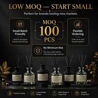 Diffuseur de parfum d'ambiance de luxe OEM 50 ml avec 4 senteurs premium pour l'ameublement de boutiques, marque privée