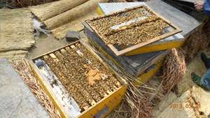 高タンパク粉末動物飼料用 - Product Image 6