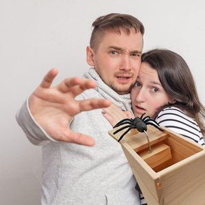 Juguetes de Exterior al por Mayor: Caja de Miedo con Araña Saltarina Divertida de Madera para Oficina y Amigos - Product Image 6