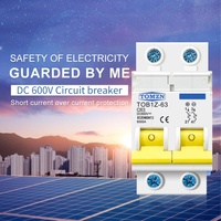 Disjoncteur CE à faible consommation d'énergie, TOB1Z-600V DC 2P 16A-125A, courbe IP20, capacité de coupure 3kA, classe 3, temps de commutation en millisecondes