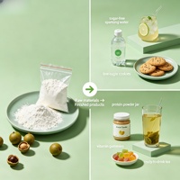 Monk Fruit Zoetstof 80% Monk Fruit Extract Poeder Natuurlijke Zoetstof MOQ 1kg
