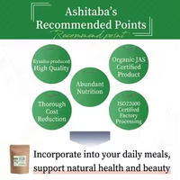Poudre d'Ashitaba 100% Pure et Naturelle, Qualité Alimentaire Premium, Vitamine, Extrait de Plante Biologique de Feuille de Demain
