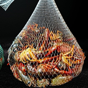 Hot bán tự động tốc độ cao knotless Lưới <span class=keywords><strong>Net</strong></span> Máy kích thước tùy chỉnh thực phẩm biển <span class=keywords><strong>Net</strong></span> máy - Product Image 4