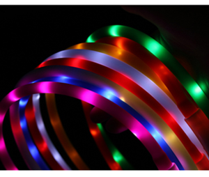 LED-Hunde halsband-USB wiederauf ladbar mit wasserdichtem, reflektieren dem, blinkendem Hunde halsband-Sicherheit für die Nacht W. - Product Image 6