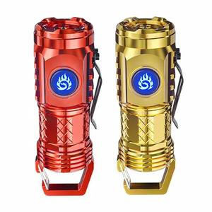 Bán Buôn Tùy Chỉnh 450 Lumens Loại C Có Thể Sạc Lại Nhựa Đèn Pin Thuận Tiện Loại C Có Thể Sạc Lại Đèn Pin - Product Image 1