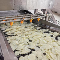 Hele Bevroren Frietproductielijn Van Wasschillen Tot Verpakkingsmachine Om De Prijs Van Chips Te Koop Te Maken
