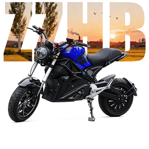 Moto Elettrica Vintage Little Monster Fuoristrada 1000W >80km/h per Uomini e Donne, Prezzo all'Ingrosso dalla Fabbrica Cinese - Product Image 6