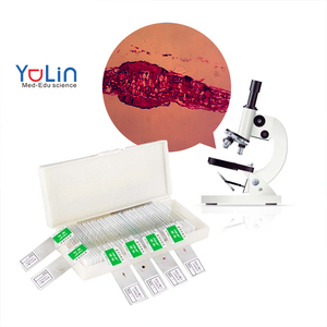 50 Portaobjetos de Vidrio para <span class=keywords><strong>Microscopio</strong></span> de Laboratorio de Biología 7101, Portaobjetos Instructivos para Botánica, Zoología y Parásitologia y Preparación Oral - Product Image 1