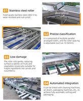 1-2 T/h Hoge Efficiëntie Sorteermachine Bosbessen/Bosbessen Aardbei Sorteermachine/Uien Sorteermachine