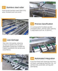 آلة فرز عالية الكفاءة 1-2 طن/ساعة للتوت الأزرق / آلة فرز التوت الأزرق والفراولة / فارزة البصل - Product Image 4