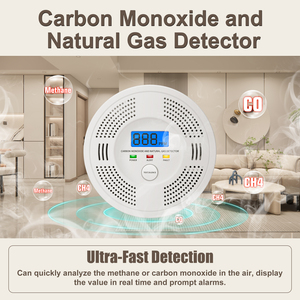 Detector de Monóxido de Carbono y Gas Inflamable 2 en 1 con <span class=keywords><strong>Alarma</strong></span> Sonora y Luminosa, Alta Precisión, Diseño Portátil, <span class=keywords><strong>Alarma</strong></span> de Fugas de Combustible - Product Image 1