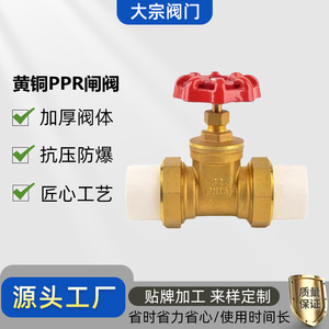 Válvula de Compuerta de Latón PPR de 1/2 Pulgada para Tuberías de Suministro de Agua, Uso a Temperatura Normal - Product Image 5