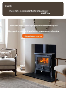 Estufas de <span class=keywords><strong>leña</strong></span> de hierro fundido para interiores, resistentes al calor, para el hogar, de la marca US Forest. - Product Image 4