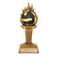 Trophée de volley-ball en résine personnalisé WeiVista, prix gravé en gros pour tournoi scolaire