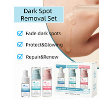 Serum Pencerah Anti Noda Hitam Label Pribadi Krim Siang & Malam untuk Mencerahkan Warna Kulit, Mengurangi Pigmentasi, Set Perawatan Kulit Halus Grosir