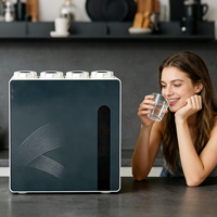 Purificateur d'eau domestique à osmose inverse pour comptoir avec installation sous évier – Filtration d'eau purifiée, élimination des tartres et des odeurs – Direct Usine