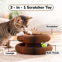 Nouvelle planche à gratter créative pour chat, pliable sur mesure, en carton ondulé durable, jouet pour chat