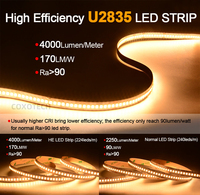 Bande LED COXO 2835 de qualité C, haute efficacité énergétique, 170Lm, dimmable, découpable, PCB flexible, éclairage de bureau