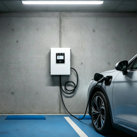 Station de recharge rapide pour véhicules électriques 20 kW DC, chargeur mural de qualité commerciale, OCPP 1.6, CCS/GBT, pour parking, flotte, entreprise