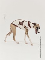 Luxuriöses, bequemes Partner-Outfit für Hundebesitzer: Whippet-Pullover mit magnetischem Netzdetail, hohem Kragen und 100 % elastischer Faser