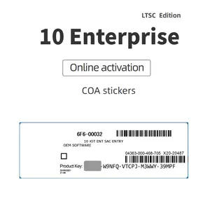 विन 10 ईएनटी स्टिकर हॉट सेल 6 महीने की वारंटी के लिए वास्तविक विन11 एंटरप्राइज संस्करण लाइसेंस कुंजी ऑनलाइन एक्टिवेशन स्लिवर लेबल