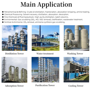 Anillo de Pall de Acero Inoxidable Resistente a Ácidos, Medio Aleatorio con Resistencia a la Corrosión <span class=keywords><strong>para</strong></span> <span class=keywords><strong>Plantas</strong></span> de Ácido Sulfúrico - Product Image 4