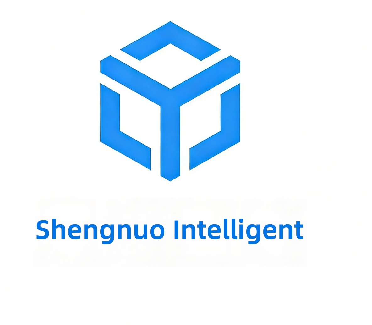 Henan Shengnuo Intelligent Technology Co., Ltd. logo