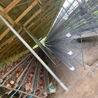 Cage à poules pondeuses galvanisée à chaud, style A, structure à 3/4 niveaux, grand espace intérieur, idéale pour les projets d'élevage en Afrique