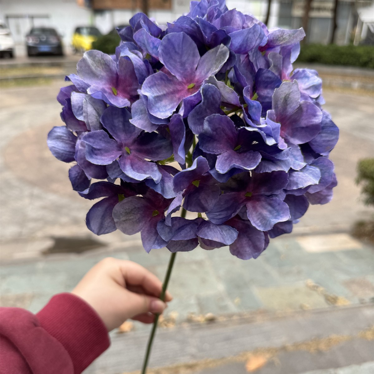 Deep Purple