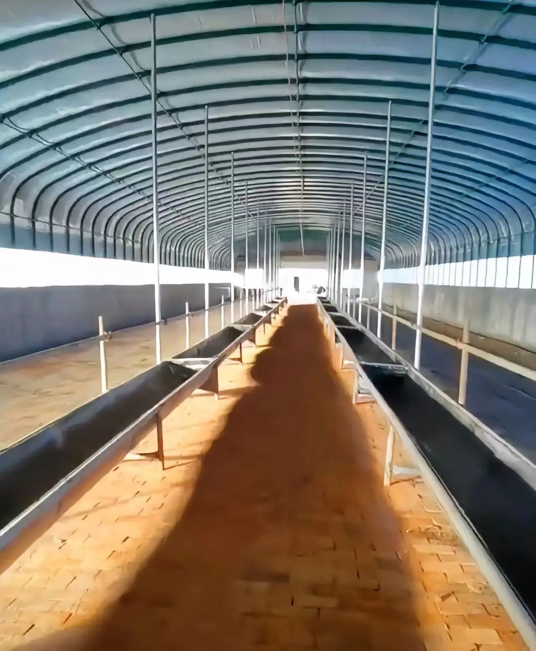 Cobertizos de ovejas de granja grande Estructura de membrana de construcción prefabricada de vaca/ganado Cobertizo de cría de tienda al aire libre