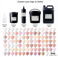 HS Custom Logo Hema Tpo Free 96 Couleurs Rubber Base Coat Gel Soak Off UV LED Nail Pink Nude Rubber Base Gel Polish Set