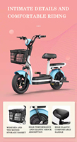 Vélo Électrique Urbain 60V Autonomie >60km Moteur Arrière 500W Cadre en Acier Fourche Suspendue 3 Vitesses Fonctionnalités Électroniques Batterie Plomb-Acide