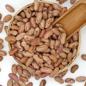 2022新しい作物最高品質の豆卸売ドライピント豆軽い斑点インゲン豆