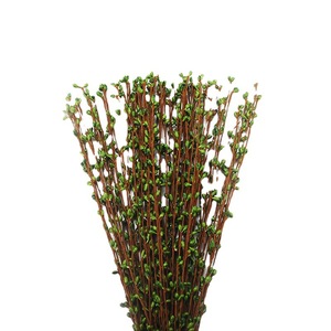 Guirlandes artificielles de baies Huayihua, 65 cm de long, 12 paires de perles pour décorations de mariage et de maison DIY - Product Image 5