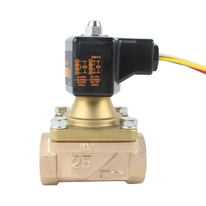 วาล์วขดลวดแม่เหล็กไฟฟ้าแบบเปิด AC24V AC220V DN20 DN15 PS-22 Vern - Product Image 5