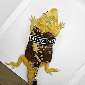 Cuerda de tracción de lagarto para gatear, arnés de pecho para exteriores para mascotas, <span class=keywords><strong>ropa</strong></span> de ardilla camaleón, suministros para mascotas pequeñas - Product Image 5