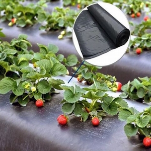 Fruits Légumes Maïs Agriculture Nourrir Noir et Argent Paillis <span class=keywords><strong>Agricole</strong></span> Film paillage Film Paillis Plastique - Product Image 6