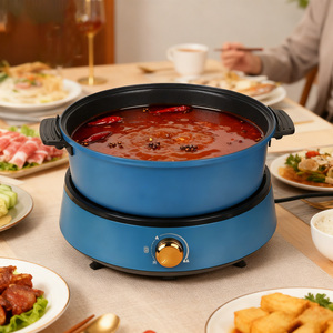 Meilleures ventes : Appareil de cuisson électrique multifonction, Poêle grill antiadhésive, Poêle à frire tendance 2026, Capacité 4 L, Marque TL, Ustensile de cuisine domestique type Dutch - Product Image 4