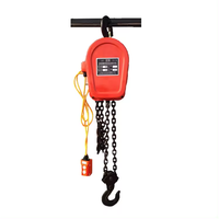 Chaîne de levage de grue électrique modèle 220V Dhs pour le levage