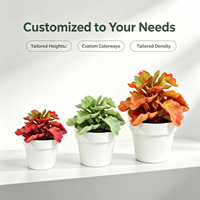 Plante artificielle de begonnie rouge en soie en pot blanc de 13 cm pour table de restaurant, commande en gros, décoration