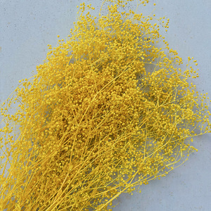 Venta al por mayor de fábrica: Gypsophila Million Star preservada, flor pequeña para ramo nupcial bohemio, relleno floral aéreo - Product Image 1
