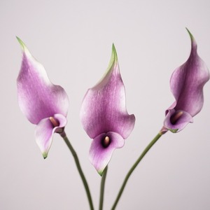 M-1014 Decoración para el Hogar con Flores de Calla <span class=keywords><strong>Lilu</strong></span> Artificiales de PU, de Tacto Real, con 2 Cabezas - Product Image 6