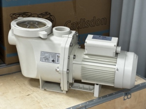 2026 Pentair Style Single Speed Pool Pump 110V220V380V High Pressure Swimming Pool Water Filter Pump S.S316 - Product Image 3